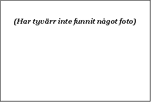 Text Box: (Har tyv�rr inte funnit n�got foto)