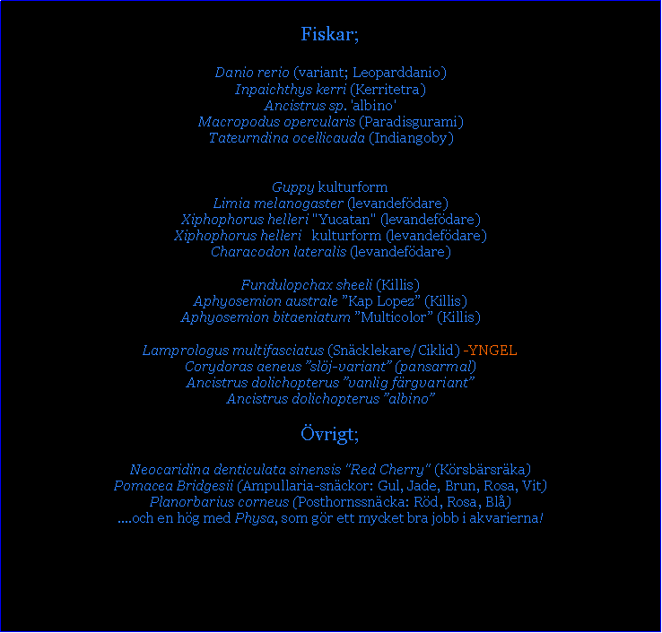 Text Box: Fiskar;Danio rerio (variant; Leoparddanio)Inpaichthys kerri (Kerritetra)Ancistrus sp. 'albino'Macropodus opercularis (Paradisgurami) Tateurndina ocellicauda (Indiangoby)

Guppy kulturformLimia melanogaster (levandef�dare)
Xiphophorus helleri "Yucatan" (levandef�dare)Xiphophorus helleri   kulturform (levandef�dare)Characodon lateralis (levandef�dare)
Fundulopchax sheeli (Killis) 
Aphyosemion australe �Kap Lopez� (Killis)
Aphyosemion bitaeniatum �Multicolor� (Killis)
Lamprologus multifasciatus (Sn�cklekare/Ciklid) -YNGEL 
Corydoras aeneus �sl�j-variant� (pansarmal)Ancistrus dolichopterus �vanlig f�rgvariant�Ancistrus dolichopterus �albino�

�vrigt;Neocaridina denticulata sinensis "Red Cherry" (K�rsb�rsr�ka)
Pomacea Bridgesii (Ampullaria-sn�ckor: Gul, Jade, Brun, Rosa, Vit)
Planorbarius corneus (Posthornssn�cka: R�d, Rosa, Bl�)
....och en h�g med Physa, som g�r ett mycket bra jobb i akvarierna! 