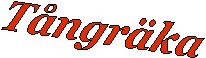 T�ngr�ka