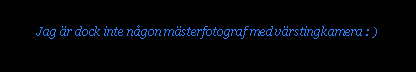 Text Box: Jag �r dock inte n�gon m�sterfotograf med v�rstingkamera : )